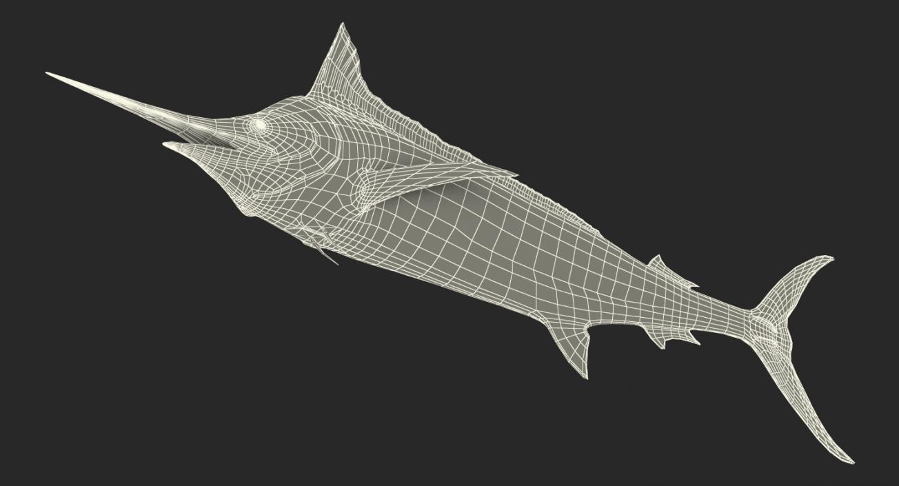 3D Blue Marlin Rigged model