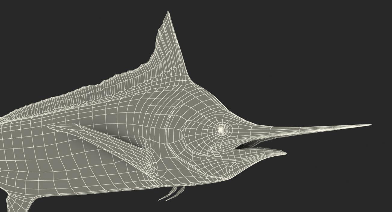 3D Blue Marlin Rigged model