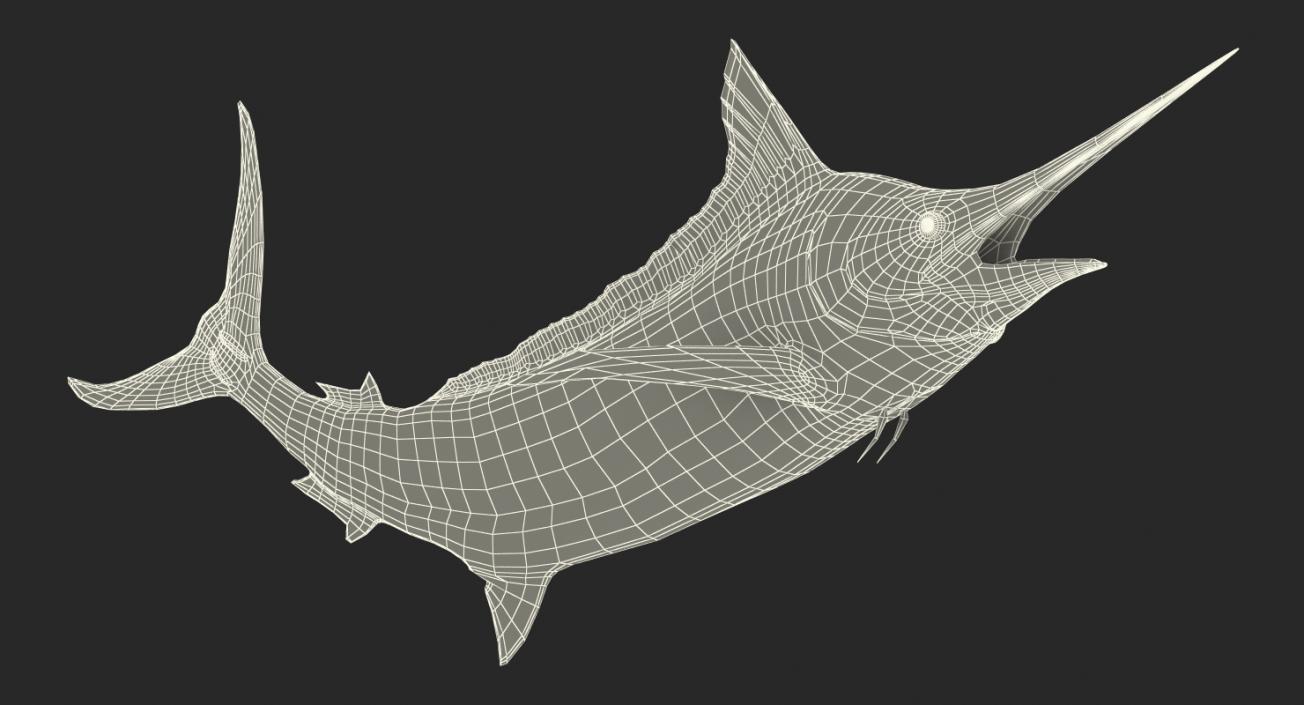 3D Blue Marlin Pose 2 model