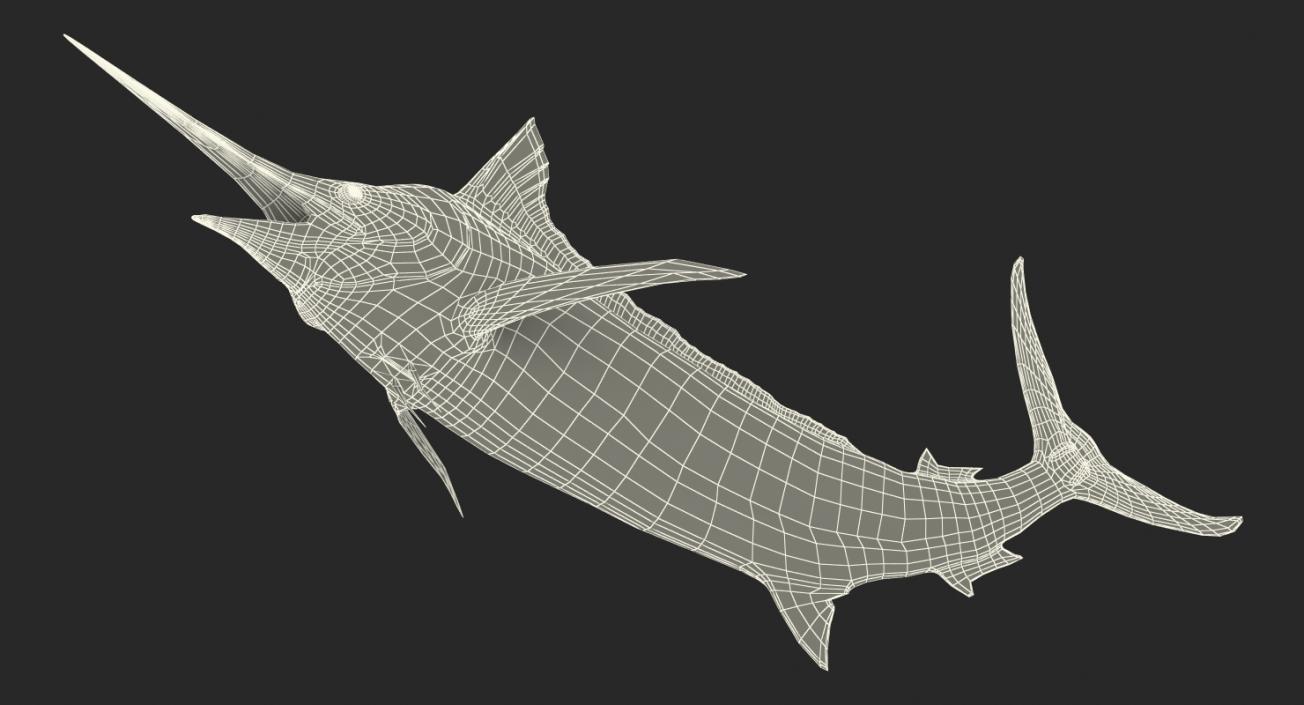 3D Blue Marlin Pose 2 model