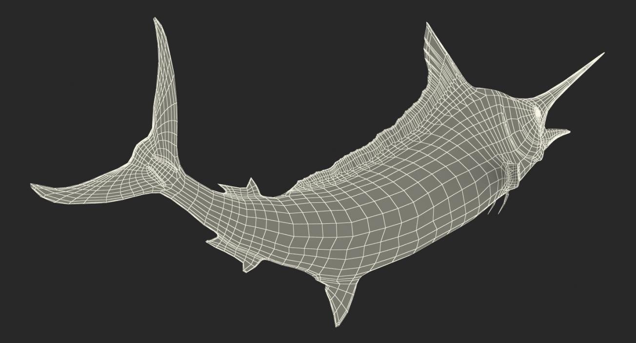 3D Blue Marlin Pose 2 model