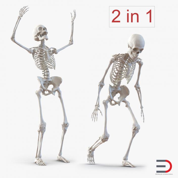 3D Human Skeletons Rigged Collection model