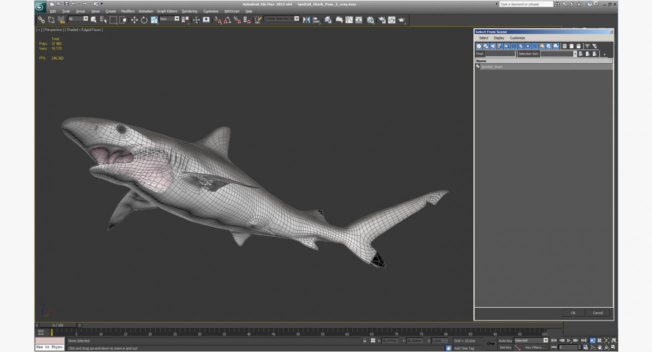 3D Spottail Shark Pose 2