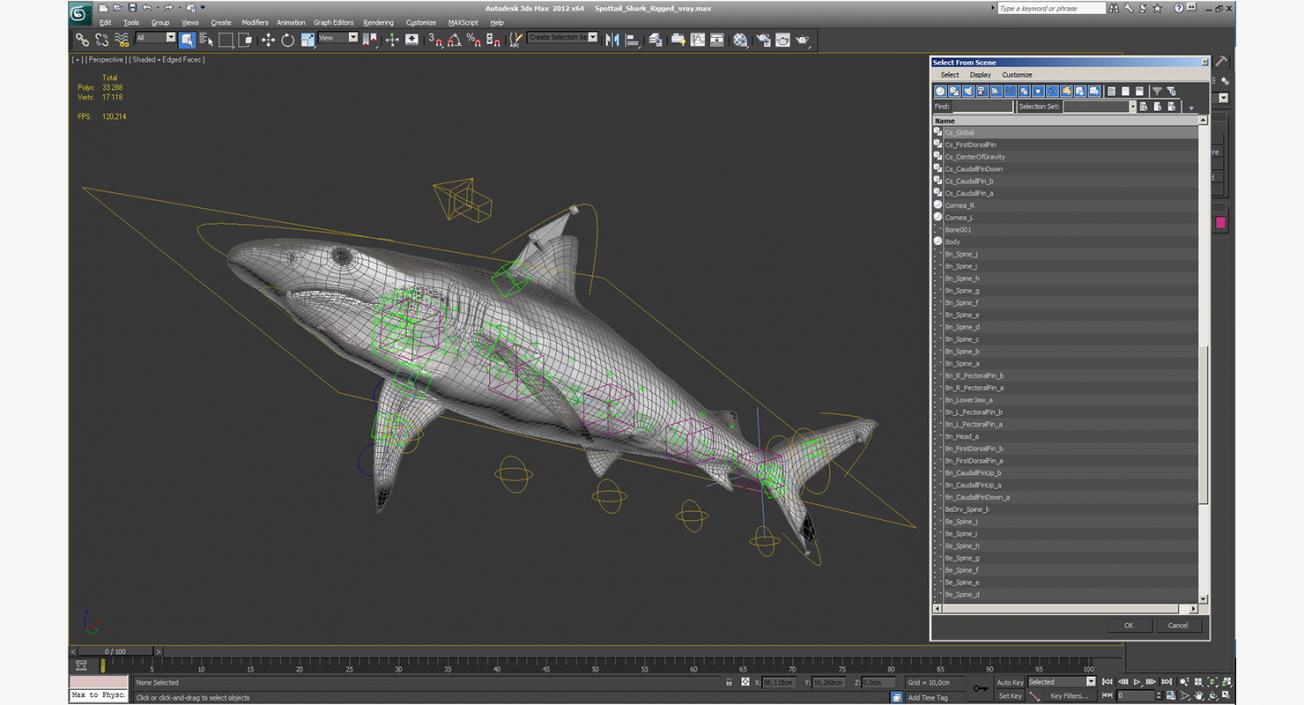 3D Spottail Shark Rigged