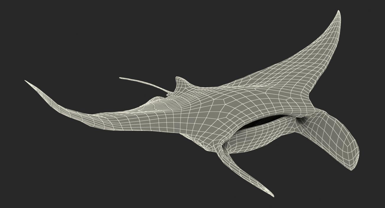 3D Manta Ray Pose 2