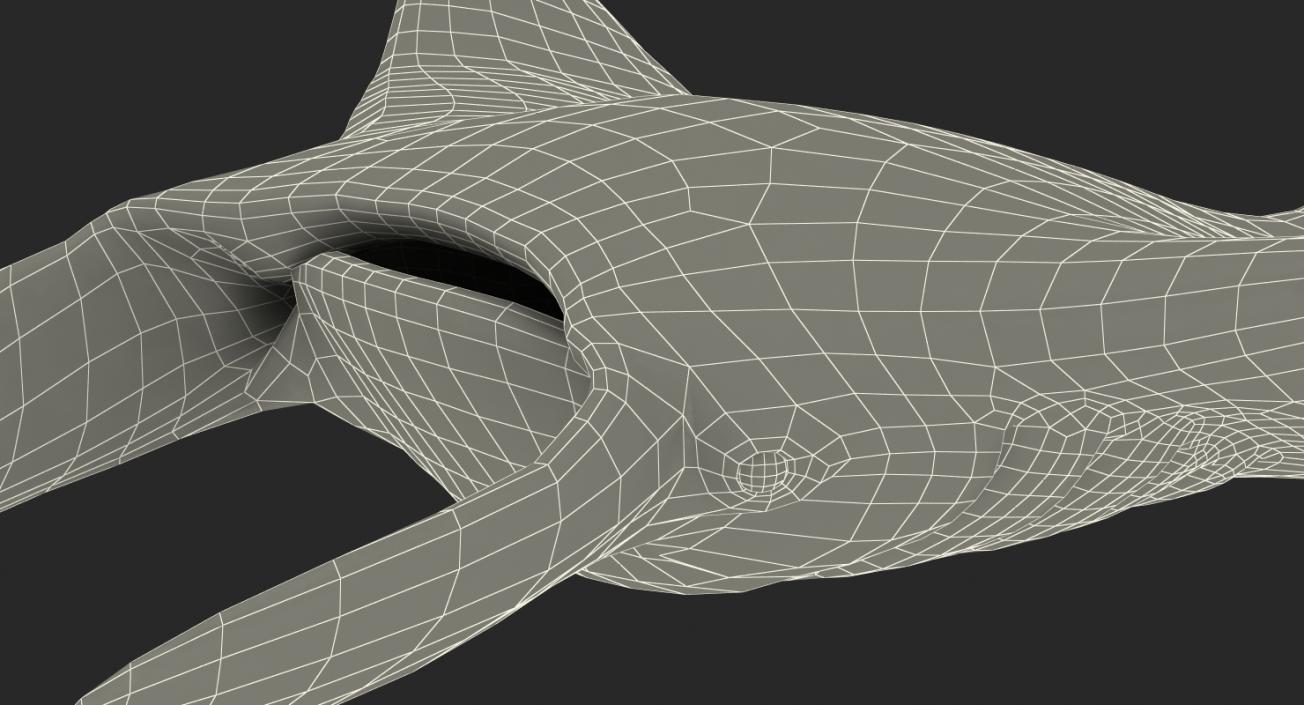 3D Manta Ray Pose 2