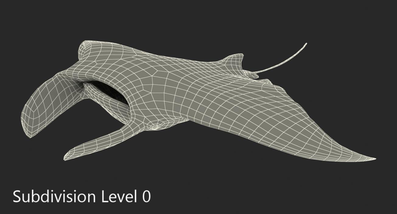 3D Manta Ray Pose 3