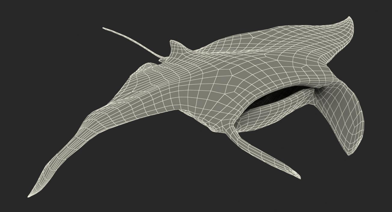 3D Manta Ray Pose 3