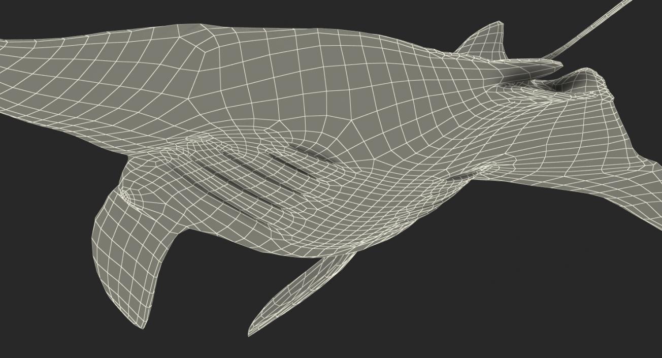 3D Manta Ray Pose 3