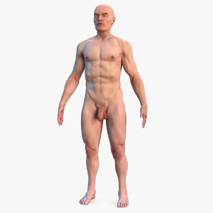 Male Full Body Nude 3D model