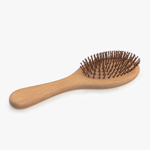 Wooden Hairbrush Light 3D