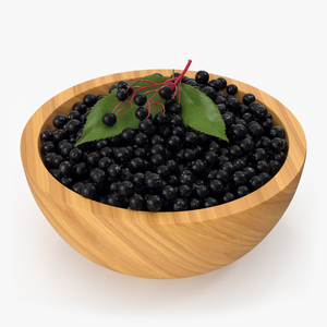 3D Bowl of Elderberry model