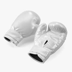 3D White Sparring Boxing Gloves model