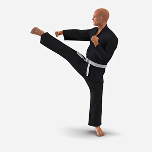 Karate Fighter Pose 2 Black Suit 3D