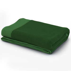 3D model Towel Green with Fur