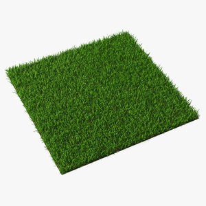 3D Zoysia Grass Patch model