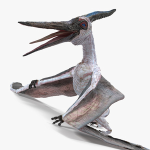 3D model Pterosaur Pteranodon White Standing Pose