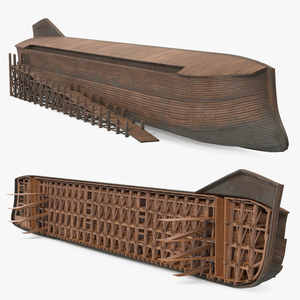 3D Noah Ark Cross Section Dirty model