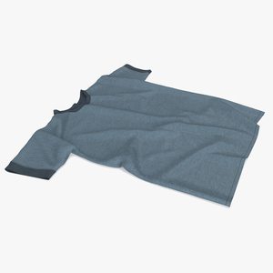 Flat Lay of Grey Shirt 3D