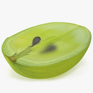 3D Translucent Slice of Green Grape Fruit model