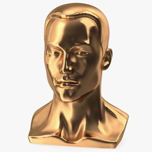 3D Golden Male Mannequin Head with Hair