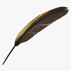 3D Dark Gold Goose Feather model