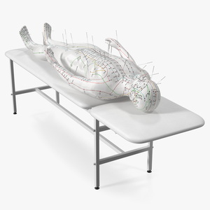 Male Acupuncture Mannequin on the Couch 3D model