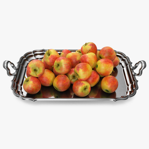 3D Silver Tray with Apples model