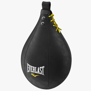 3D Everlast Leather Speed Bag