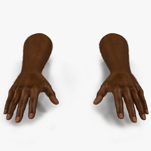 3D African Man Hands with Fur Pose 2 model