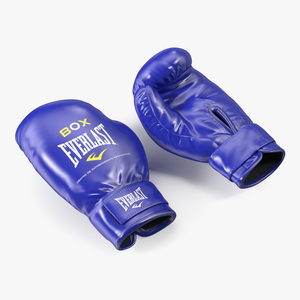 Everlast Boxing Gloves 3D