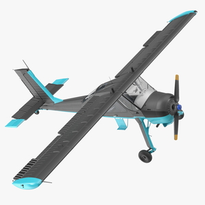 3D model American Light Aircraft Black Rigged for Cinema 4D