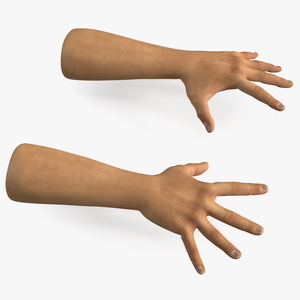 3D Realistic Human Hands