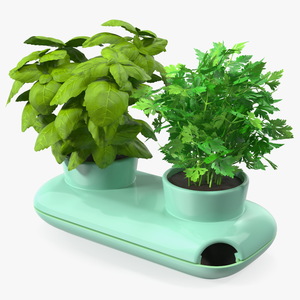 Herbs in Double Pot Sagaform Green 3D model