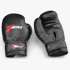 Twins Boxing Gloves 3D model