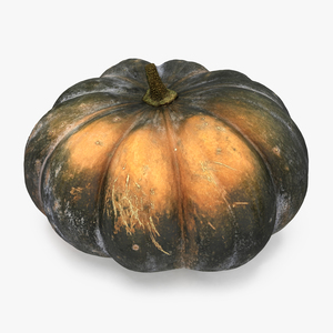 3D Green Pumpkin model