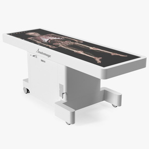 3D Horizontal Anatomical Training Table