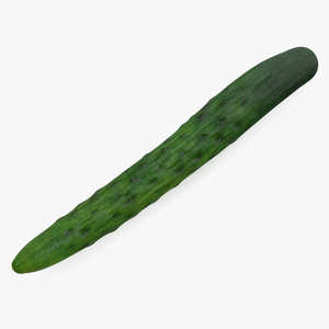 3D Long Cucumber model