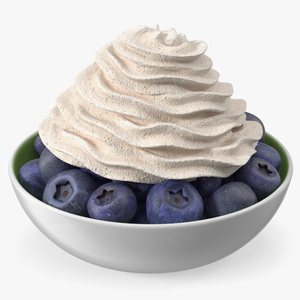 3D Blueberries in Bowl with Whipped Cream model