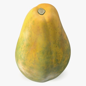 3D Carica Papaya Fruit Yellow