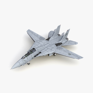 3D model F 14 Tomcat US Combat Aircraft