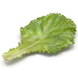 Lettuce Leaf 3D