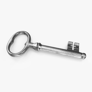 Classic Skeleton Key Silver 3D