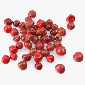 3D model Red Dried Peppercorn