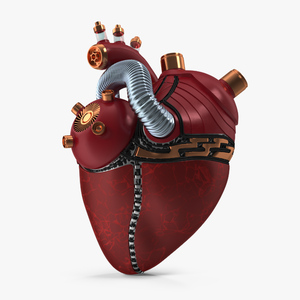 3D Bionic Robot Heart model