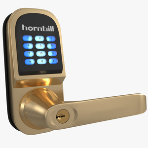 3D Hornbill Smart Lock with Keypad Door Knob Gold