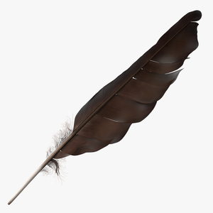 Dark Bird Feather 3D