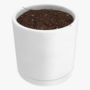 3D White Flower Pot with Soil