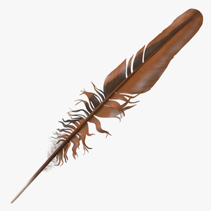 3D Feather Bird Brown Colored