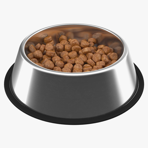 Dog Bowl Stainless Steel Food Container 3D model